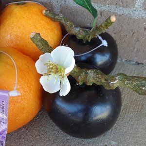 Fruit Decorative Faux Realistic Plums